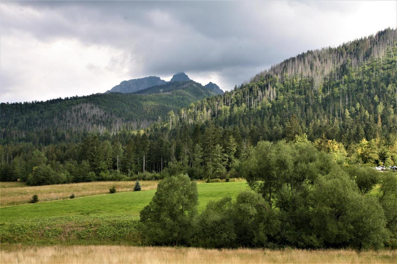 Tatra Rest Apartment Koscielisko Luaran gambar